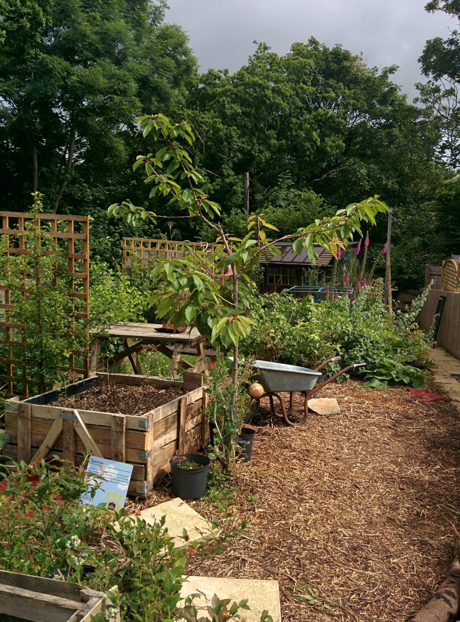 Ponds and Aquaponics