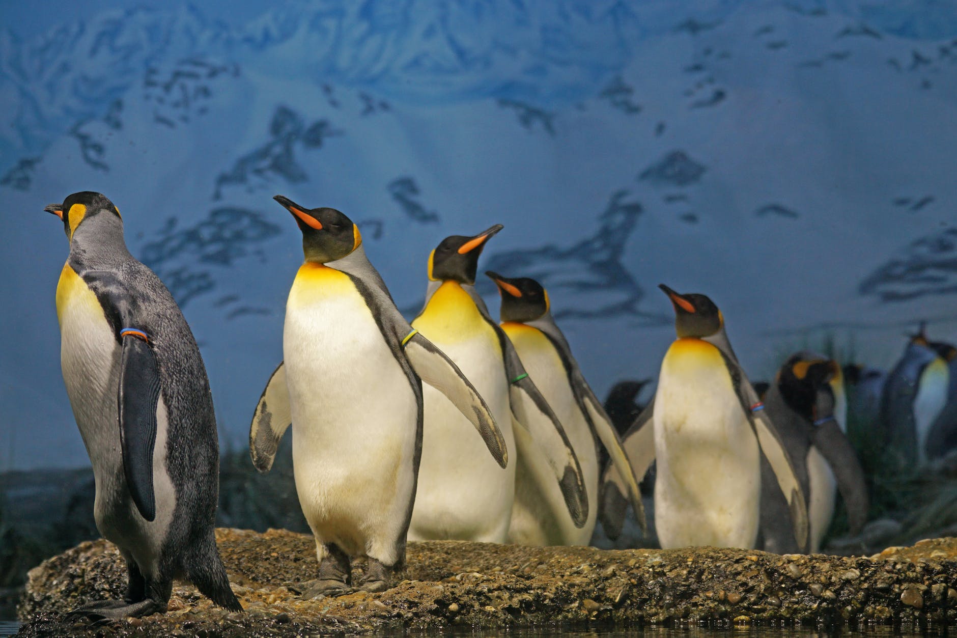 Linux 6.0 arrives as Linus Torvalds promises ‘core new things’ ahead
