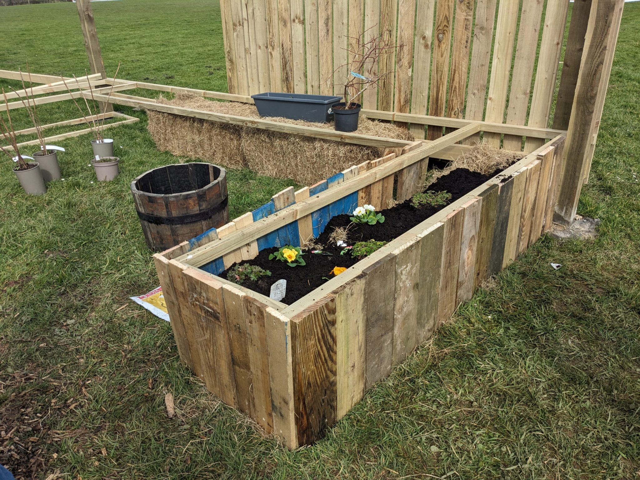 Raised Beds