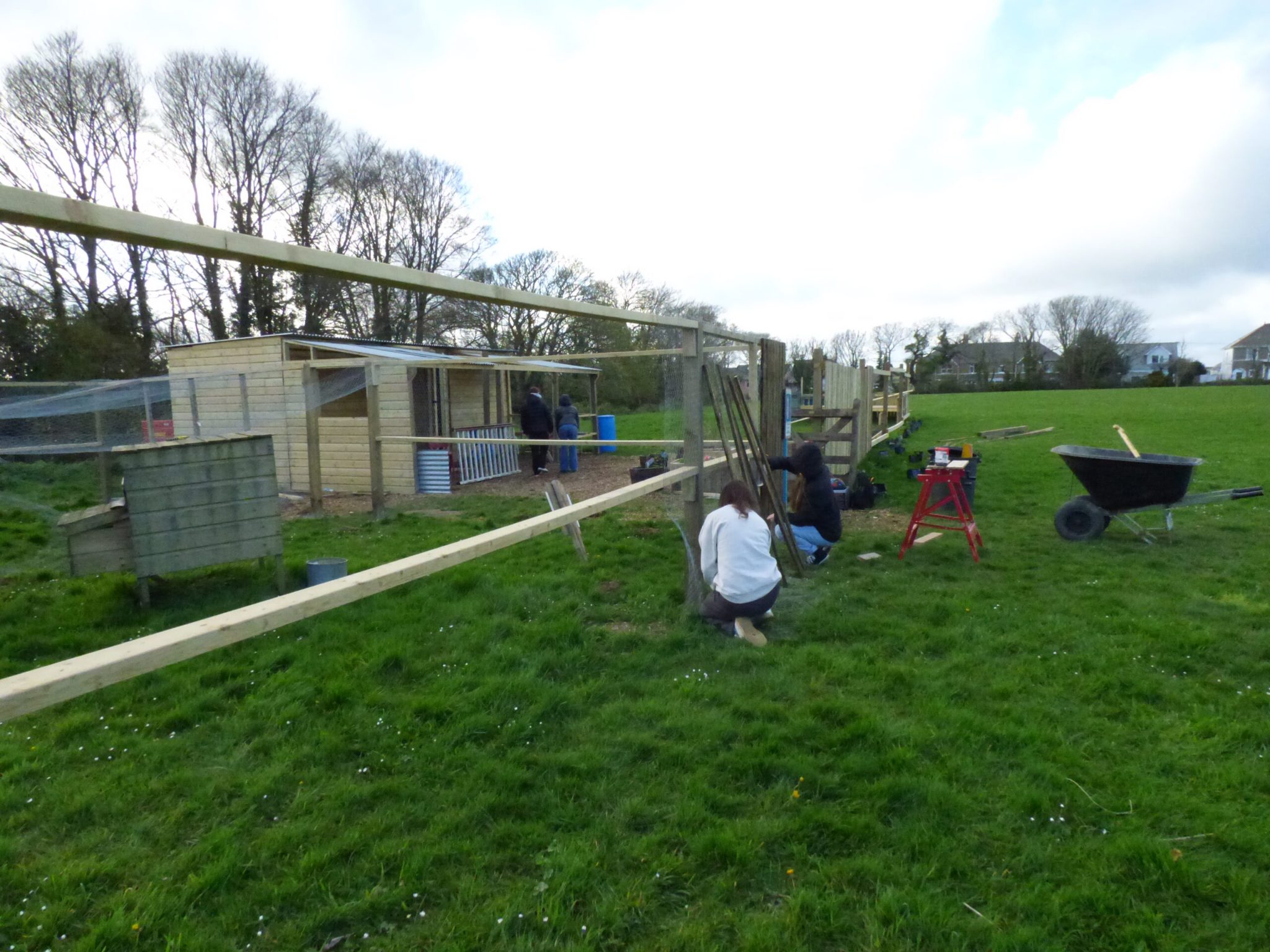 Young People at the farm