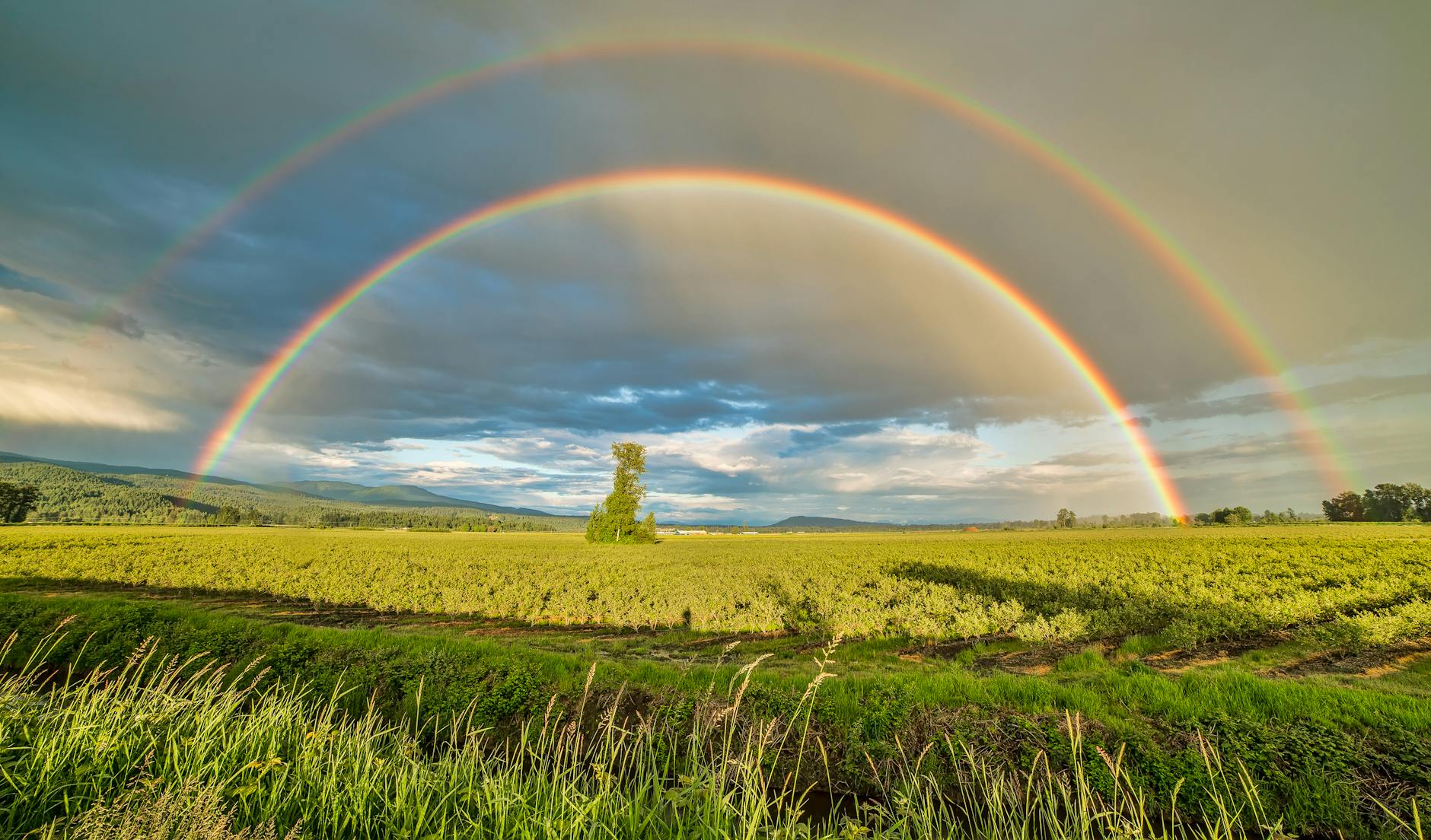 Genesis 9:1-17 – A Fresh Start, A Promise, A Responsibility