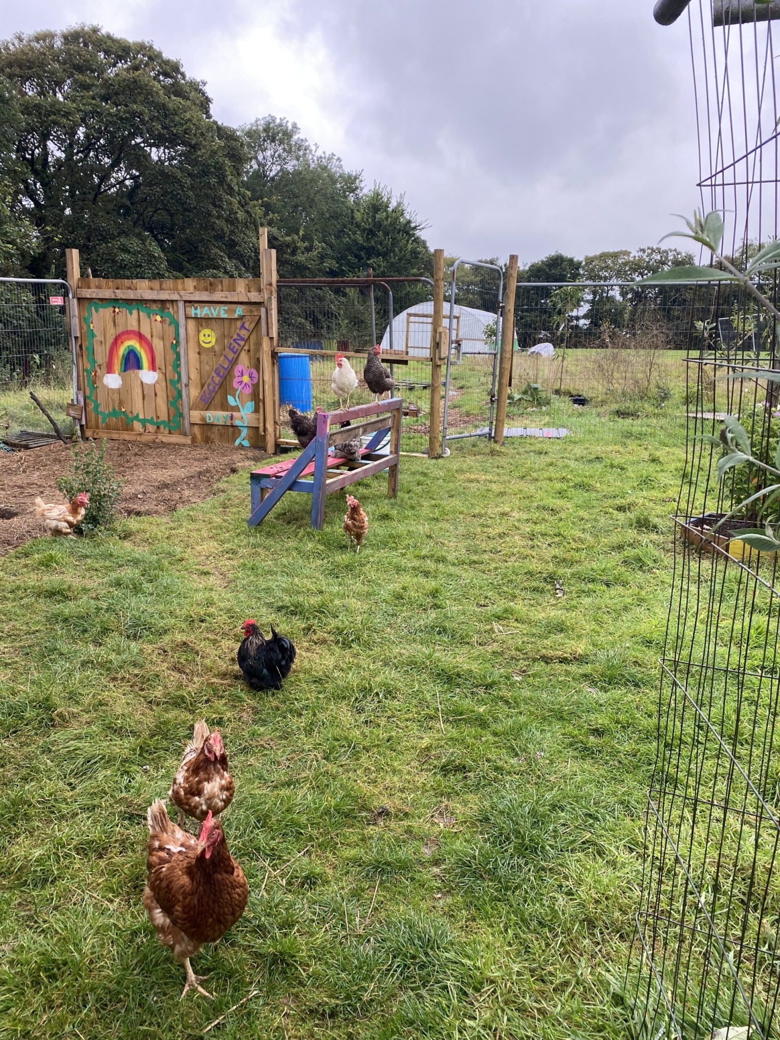 Forest Garden Project at Fowey River Academy: A Sustainable Oasis for Young Learners