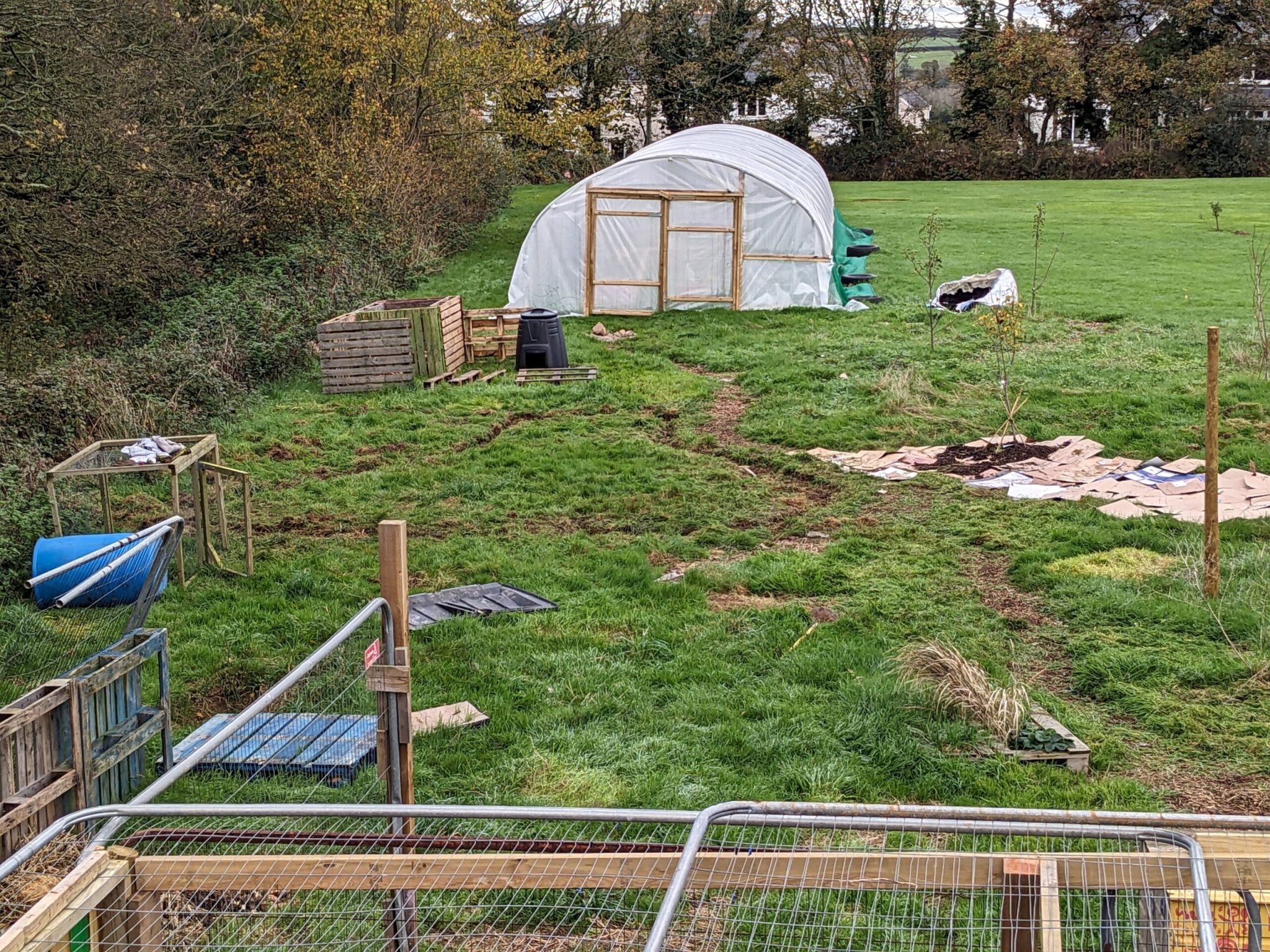 Farm and Polytunnel Updates